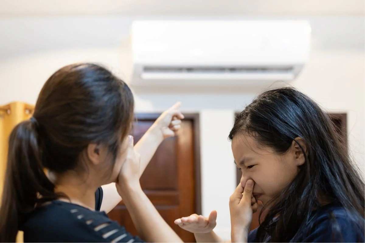 House Smells Musty But No Mold – Why This Happens