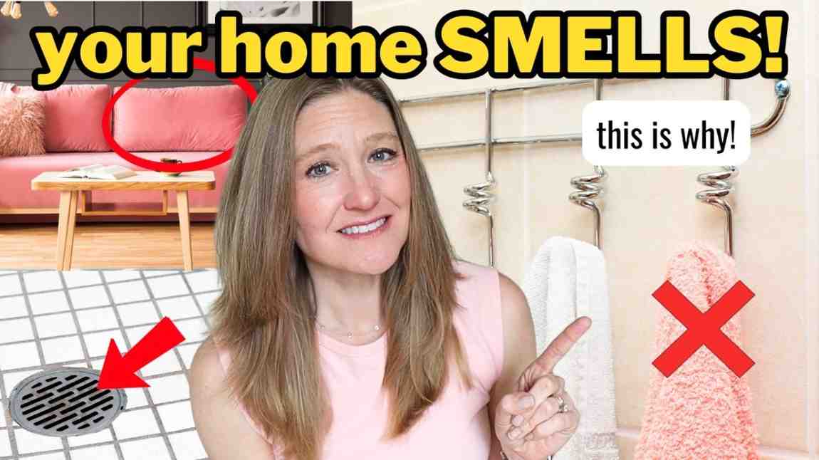 Why Houses Develop Musty Smells