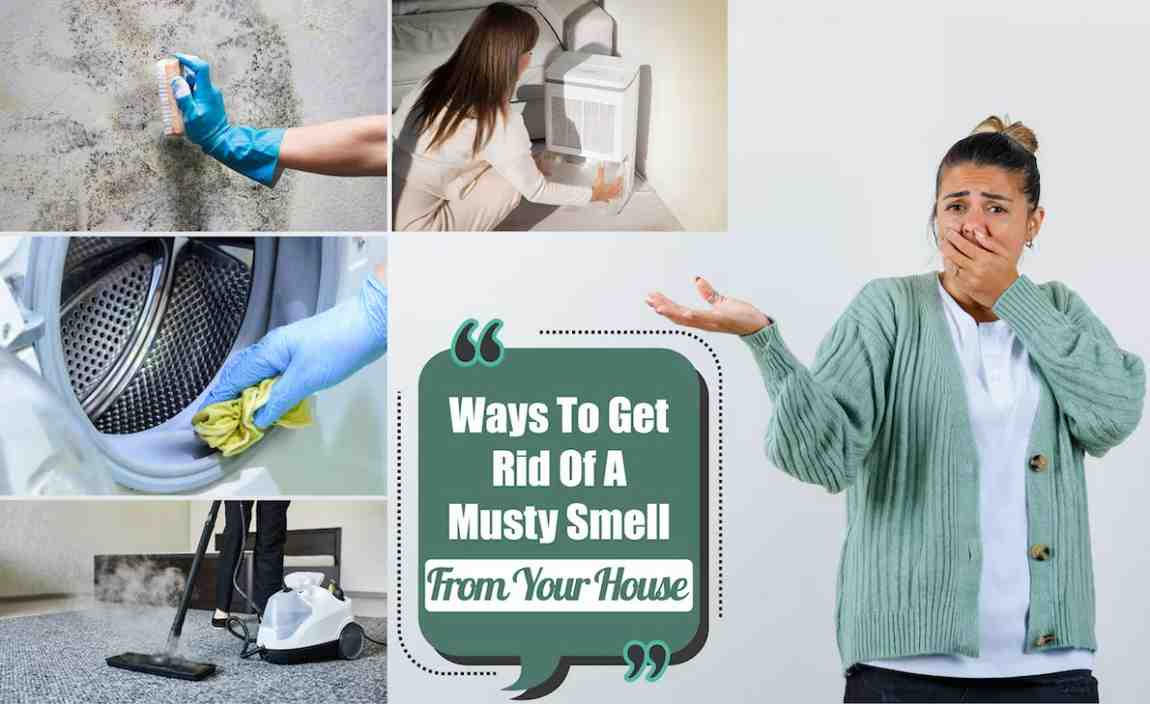 How to Remove a Musty Smell from a House After Moving (After Following Your Moving Packing List)