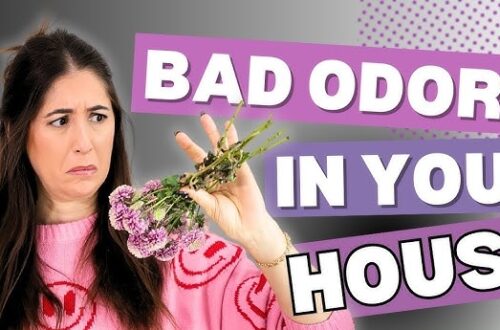 How to Get Rid of Musty Smell in a House